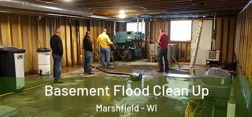  Basement Flood Clean Up Marshfield - WI
