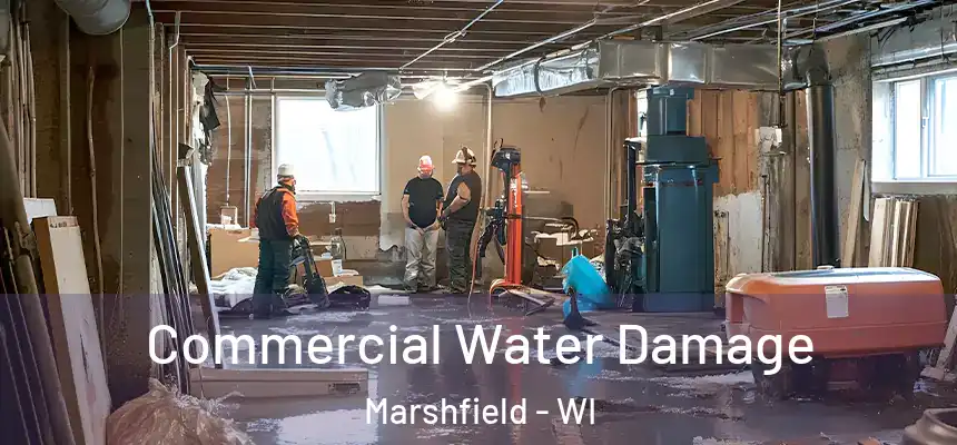  Commercial Water Damage Marshfield - WI
