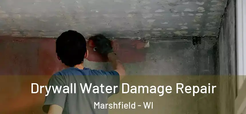  Drywall Water Damage Repair Marshfield - WI