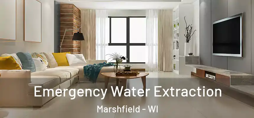  Emergency Water Extraction Marshfield - WI