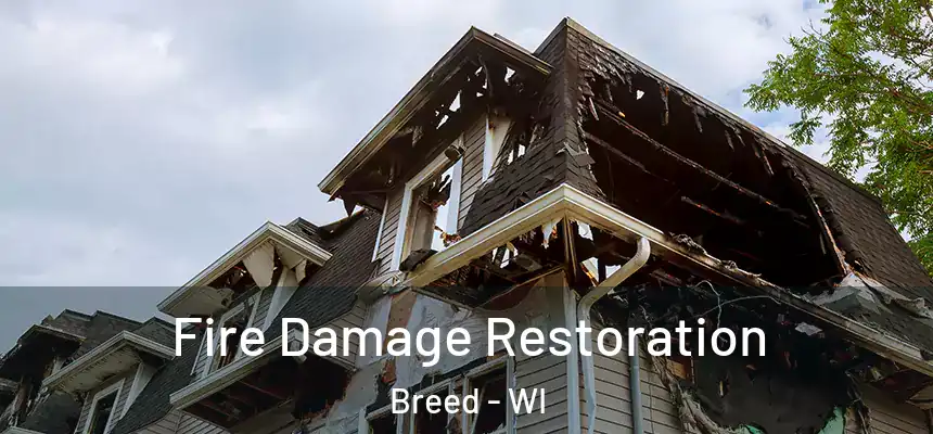  Fire Damage Restoration Breed - WI
