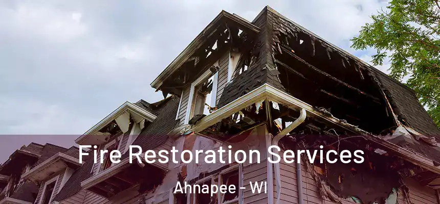  Fire Restoration Services Ahnapee - WI