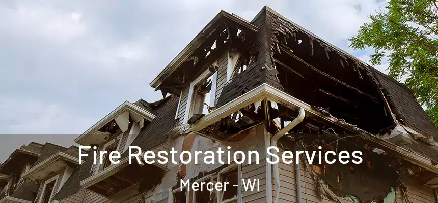  Fire Restoration Services Mercer - WI