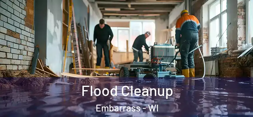 Flood Cleanup Embarrass - WI