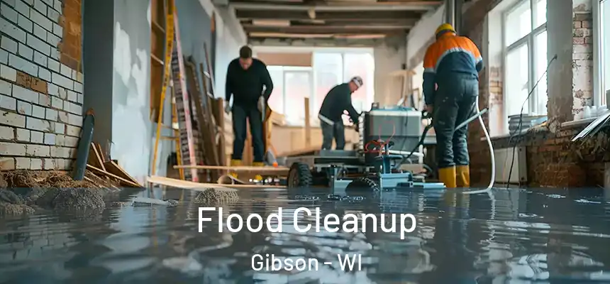 Flood Cleanup Gibson - WI
