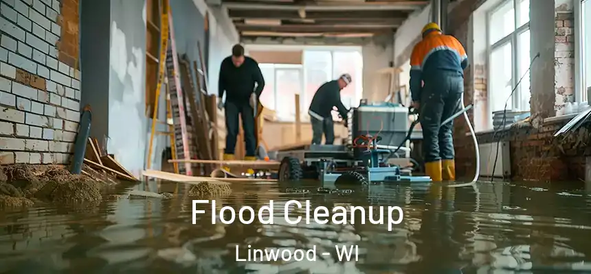 Flood Cleanup Linwood - WI