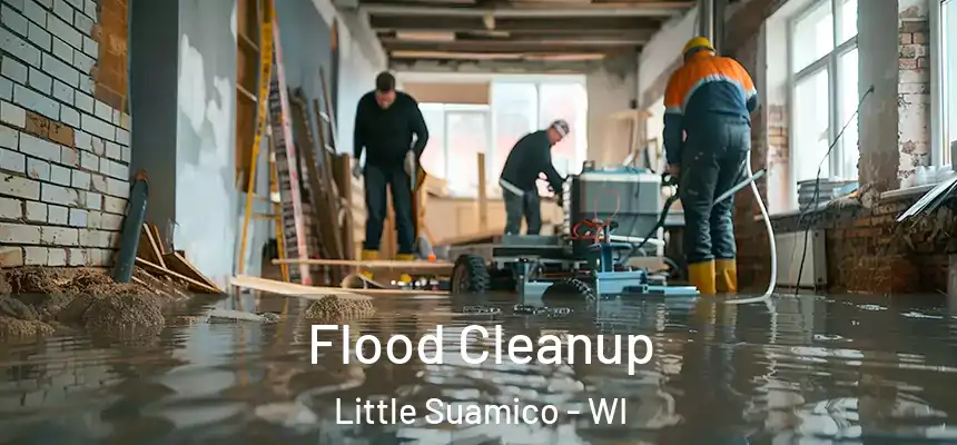  Flood Cleanup Little Suamico - WI