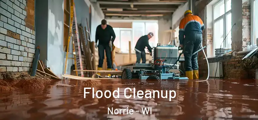 Flood Cleanup Norrie - WI
