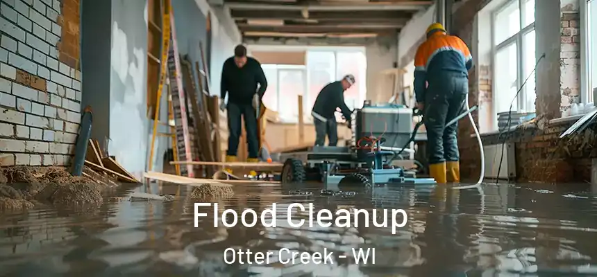 Flood Cleanup Otter Creek - WI