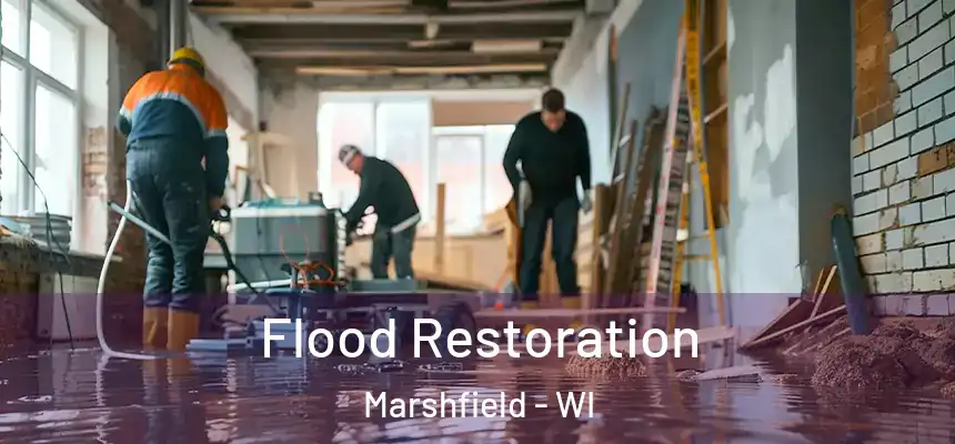 Flood Restoration Marshfield - WI