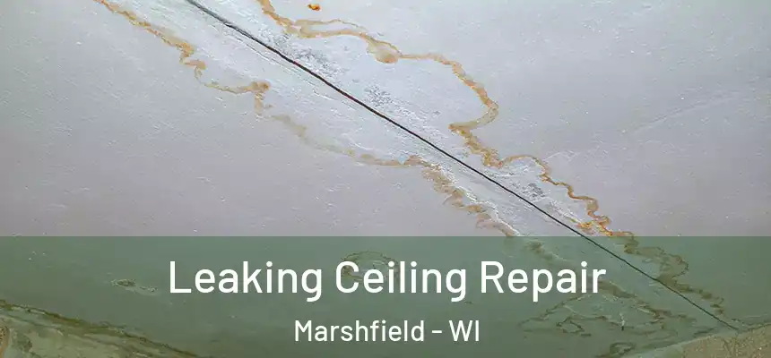  Leaking Ceiling Repair Marshfield - WI
