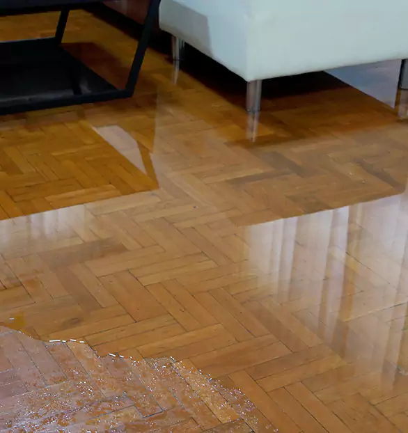 Trusted Emergency Water Restoration Company in Marshfield, WI