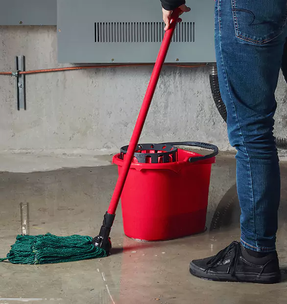 Trusted Sewage Cleanup Company in Marshfield, WI