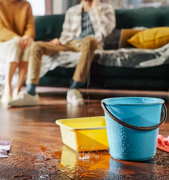 Trusted Water Restoration Company in Marshfield, WI