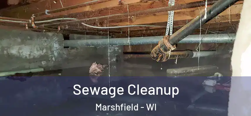  Sewage Cleanup Marshfield - WI