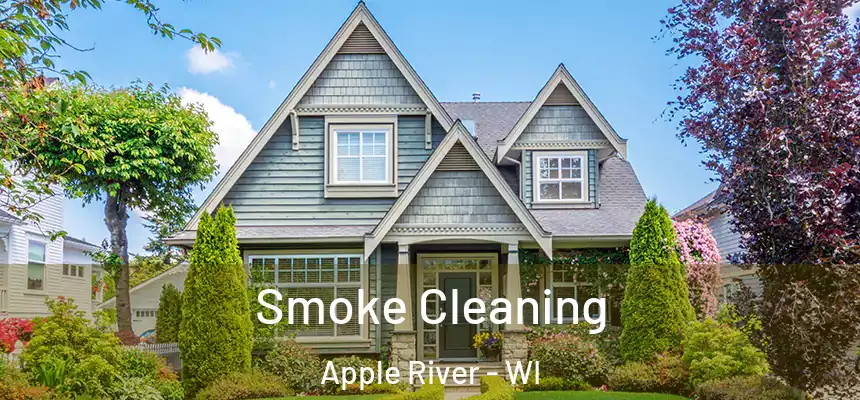  Smoke Cleaning Apple River - WI