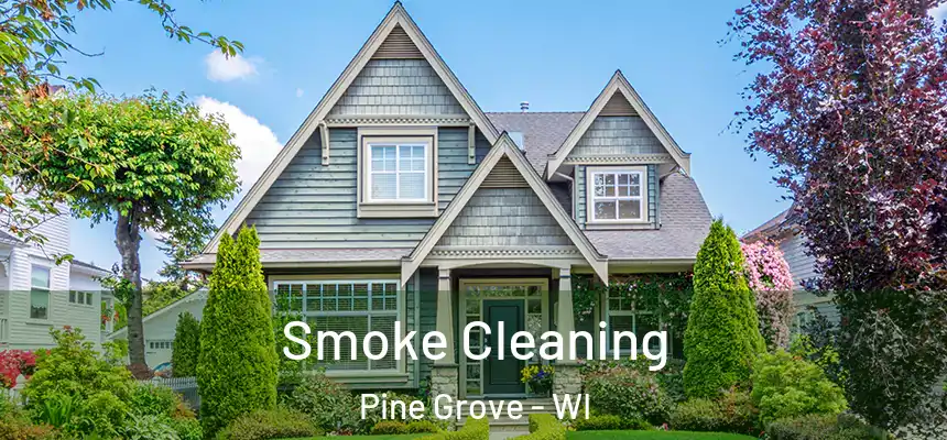  Smoke Cleaning Pine Grove - WI