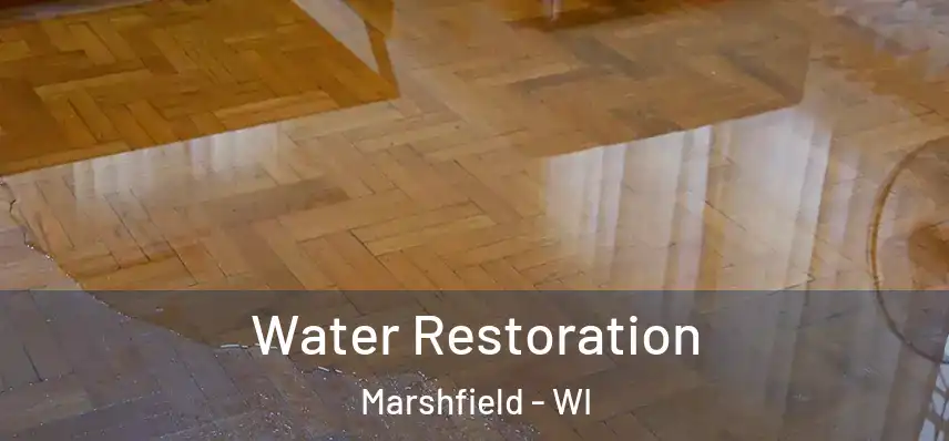 Water Restoration Marshfield - WI